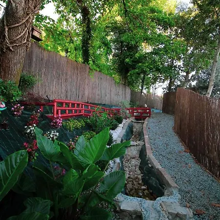 Ramiro Casa de Férias Celorico De Basto