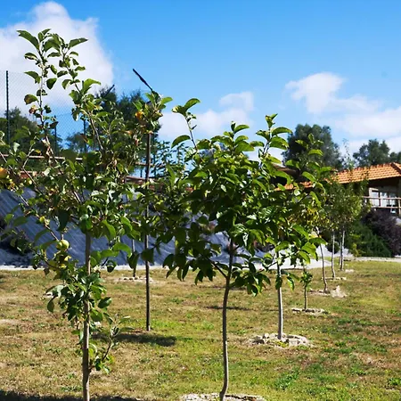 Ramiro Hébergement de vacances Castelbuono