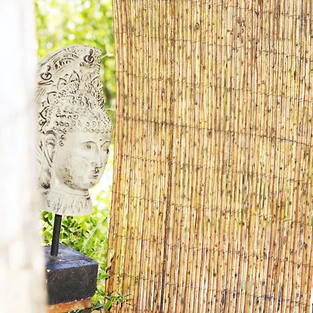 Hébergement de vacances Ramiro *