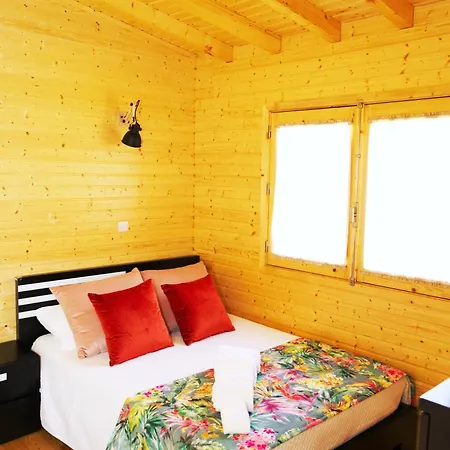 Ramiro Celorico De Basto