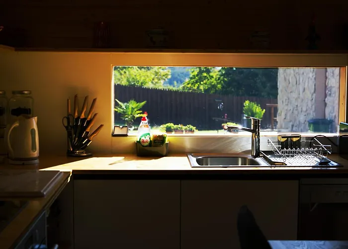 Ramiro Celorico De Basto